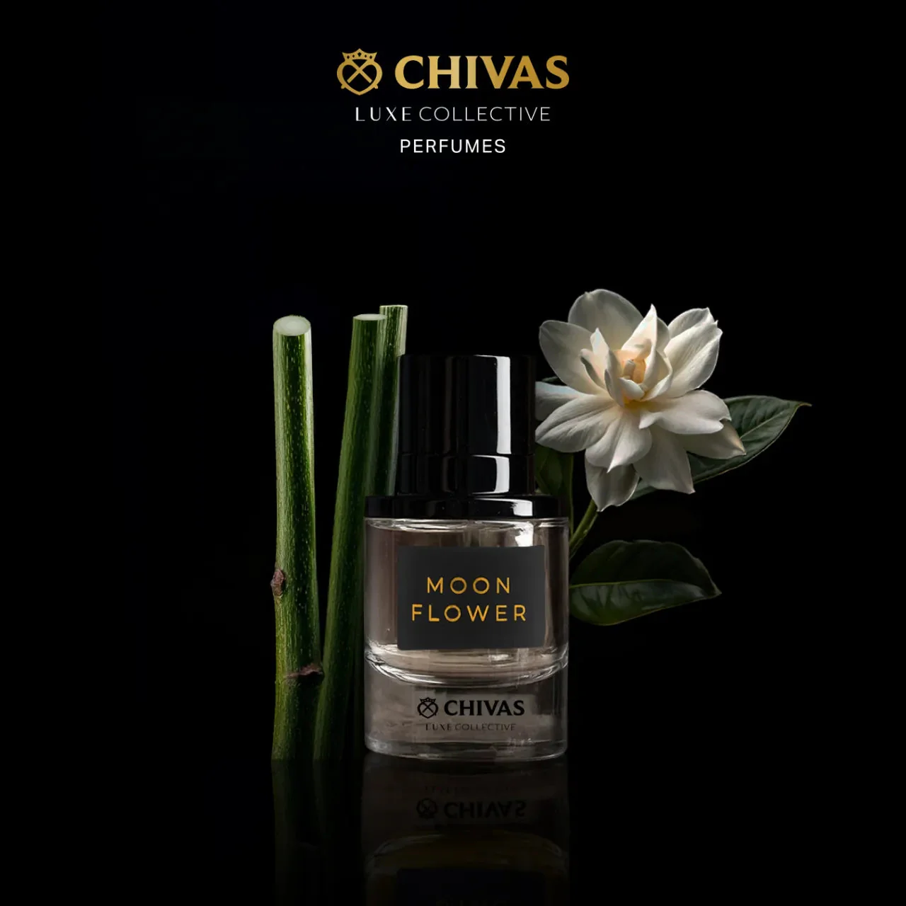 Moon Flower 50ML - Image 4