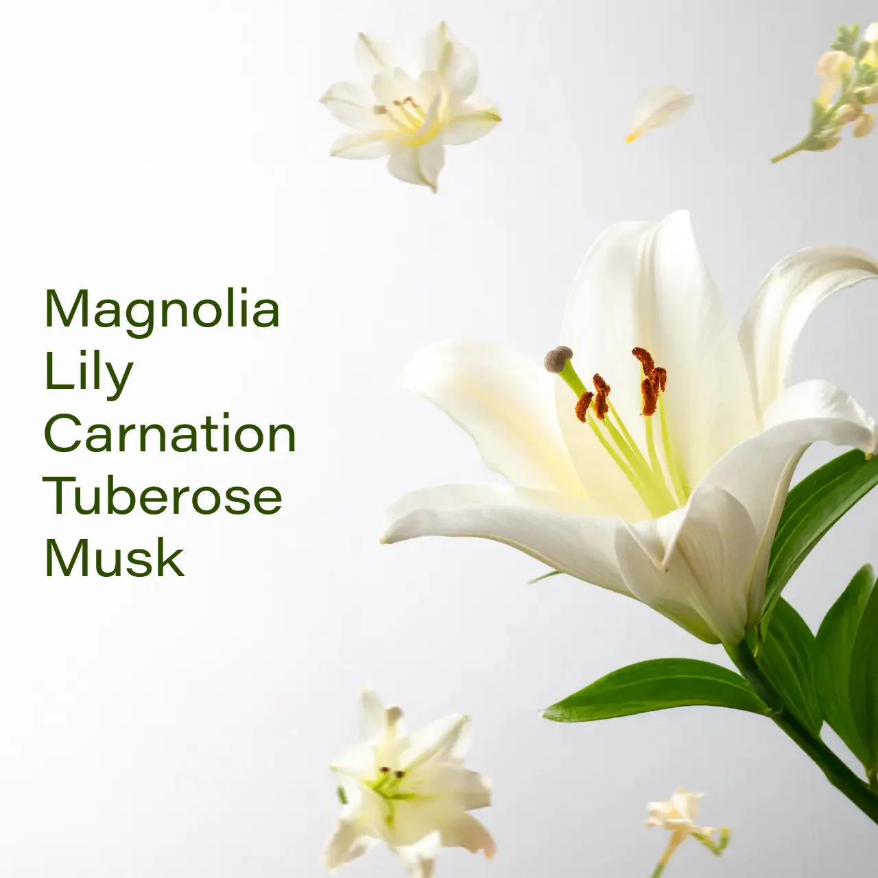 White Floral 50ML - Image 3
